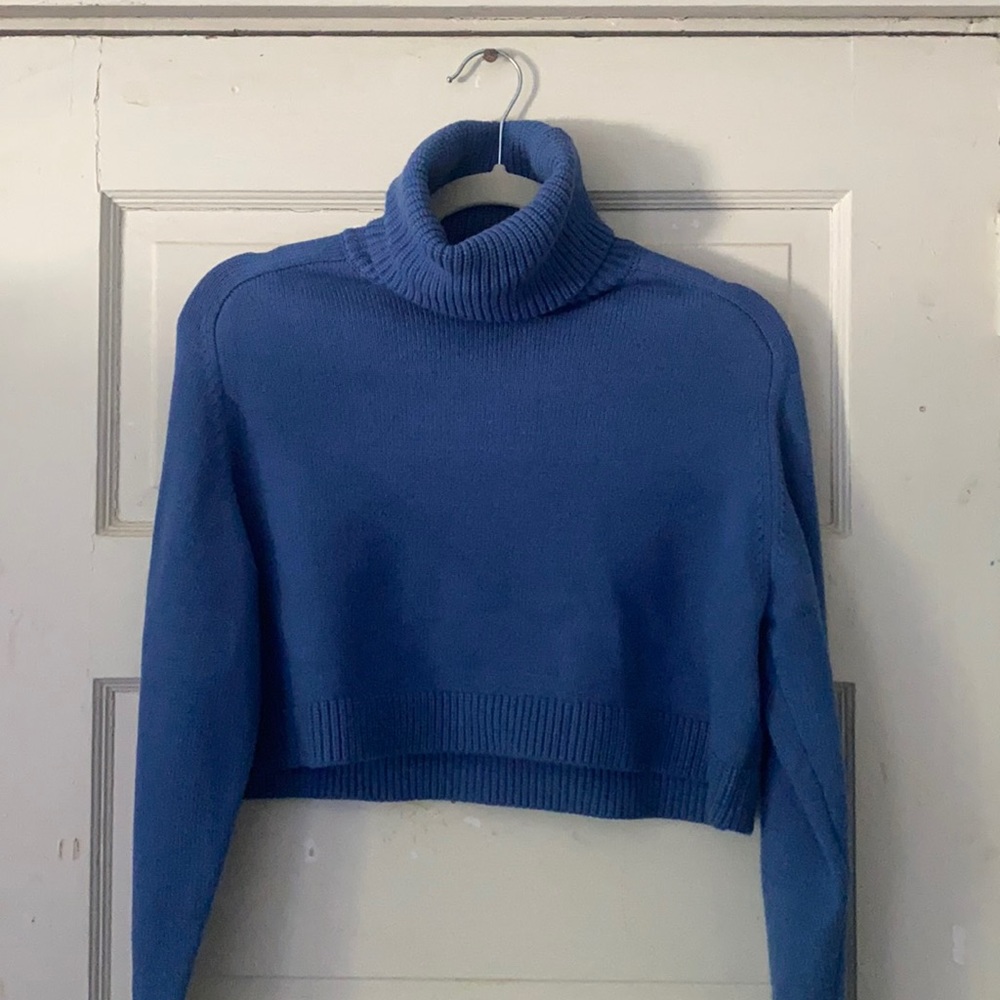 Zara cropped turtle neck